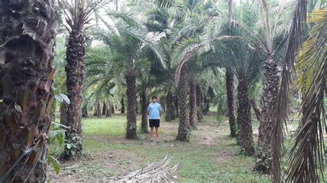 date in philippines